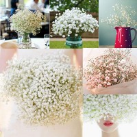 Romantic Baby's Breath Gypsophila Silk Flowers Bridal  Party Wedding Home Décor 8011517821585  222383836137